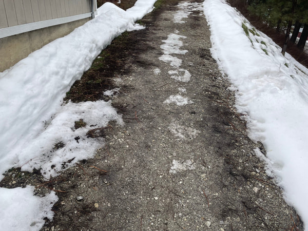 Snowy dirt path along the house.